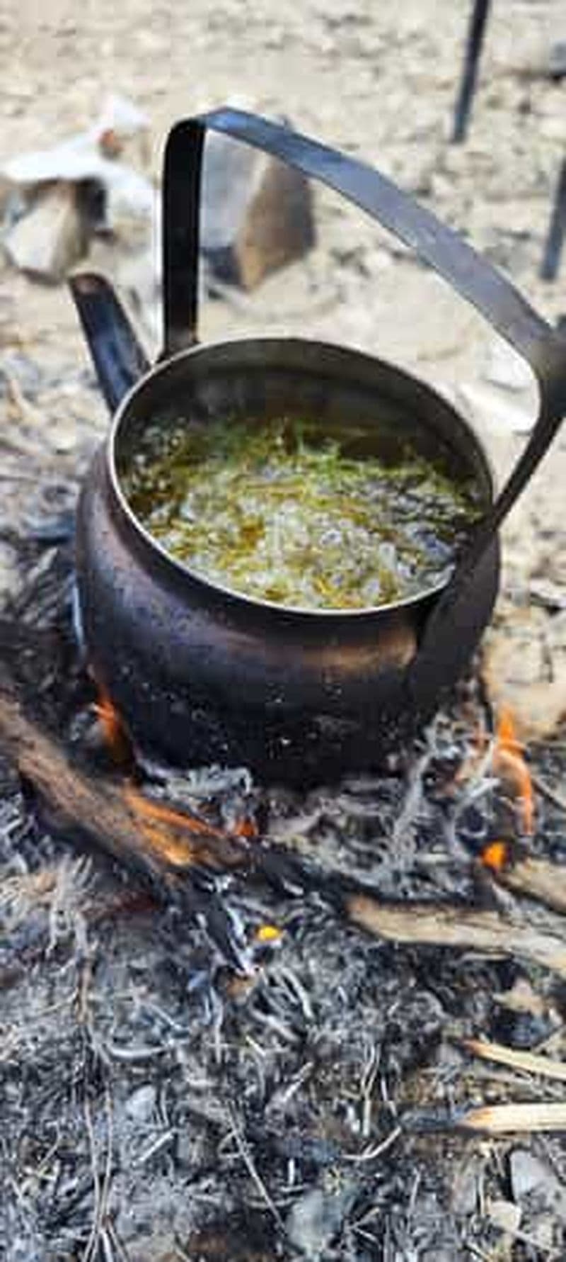 L'armoire à pharmacie de la nature : Découvrez les herbes sauvages, les compétences de survie