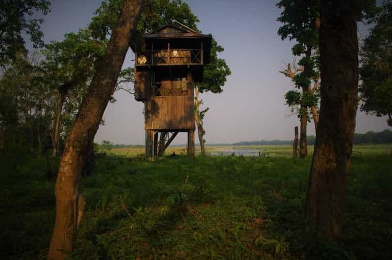 Billet Népal : Séjour de 3 jours dans le parc national de Chitwan (Jungle Tower)