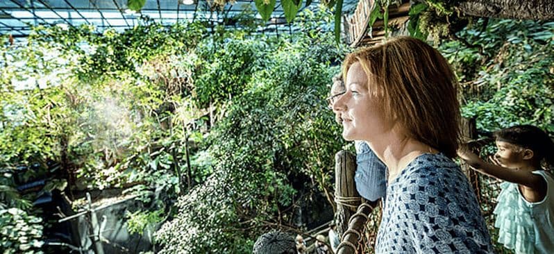 Billets d'entrée à l'Universeum de Göteborg avec prise en charge