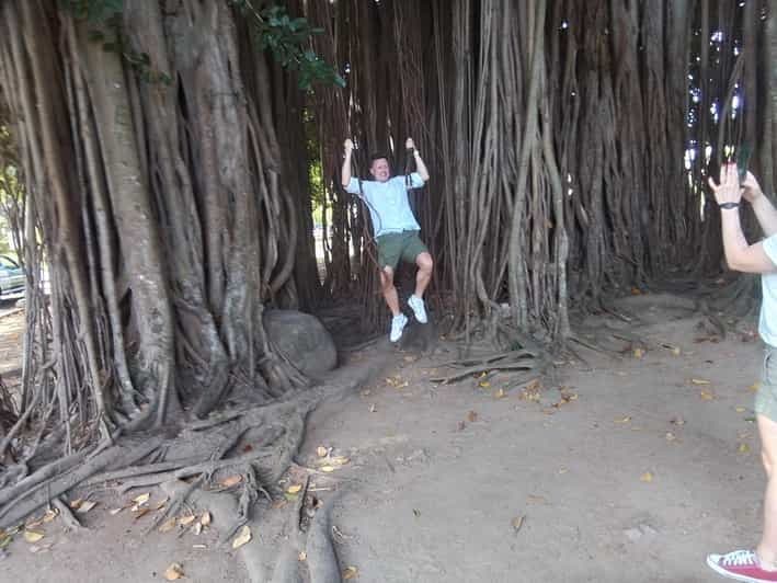Roseau : Visite de la forêt tropicale, des chutes d'eau et des geysers de Trafalgar.