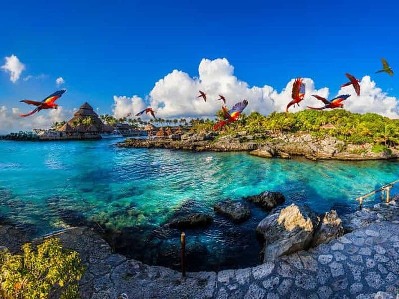 Billet Depuis Playa del Carmen : Xcaret Plus Park, l'expérience complète