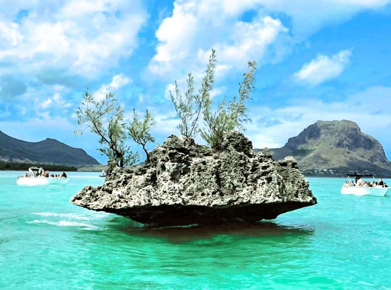 Île aux Bénitiers : Excursion en catamaran avec observation des dauphins et déjeuner