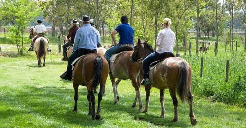 Argentine : balade à cheval à l'Estancia La Bamba de Areco