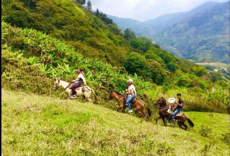 Medellín : Authentique randonnée à cheval en Colombie