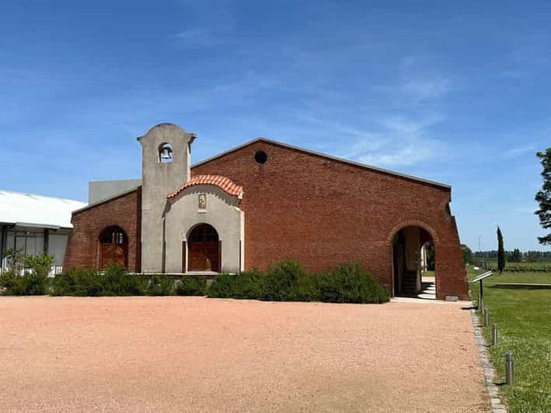 Bouza - Déjeuner au vignoble