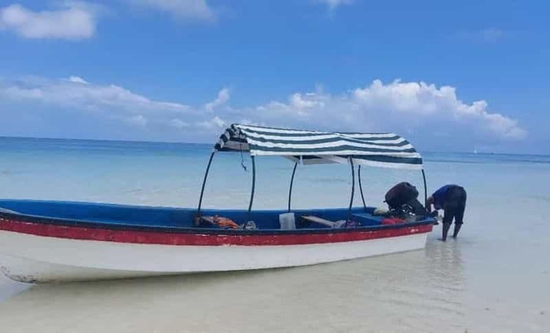 Billet Pemba : Excursion de plongée avec masque et tuba sur l'île de Misali, avec déjeuner barbecue