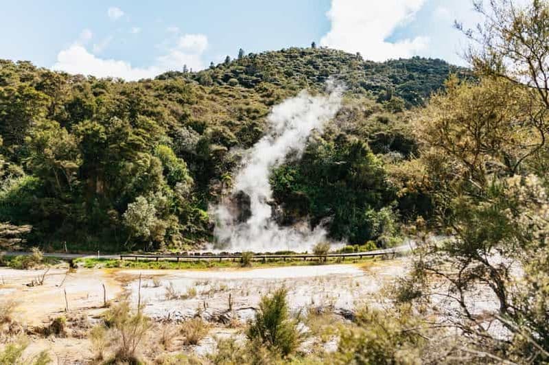 Billet Rotorua : Billet pour la vallée volcanique de Waimangu et promenade guidée