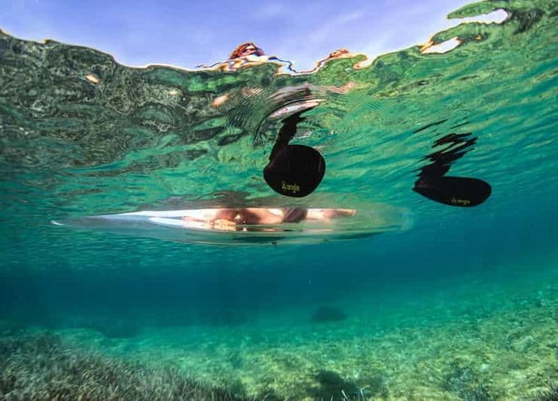 Billet Location de kayak transparent pour 1h30 : découvrez le monde sous-marin