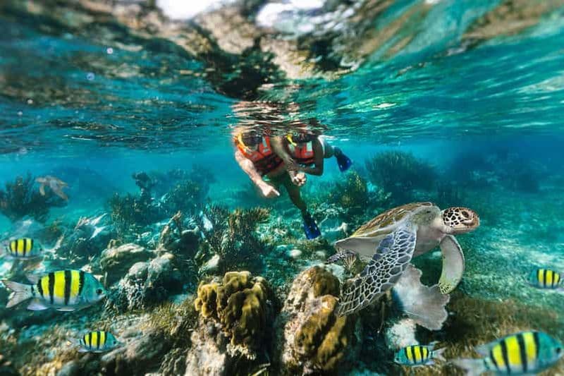 Billet Puerto Morelos : plongée dans le parc national et déjeuner sur la plage