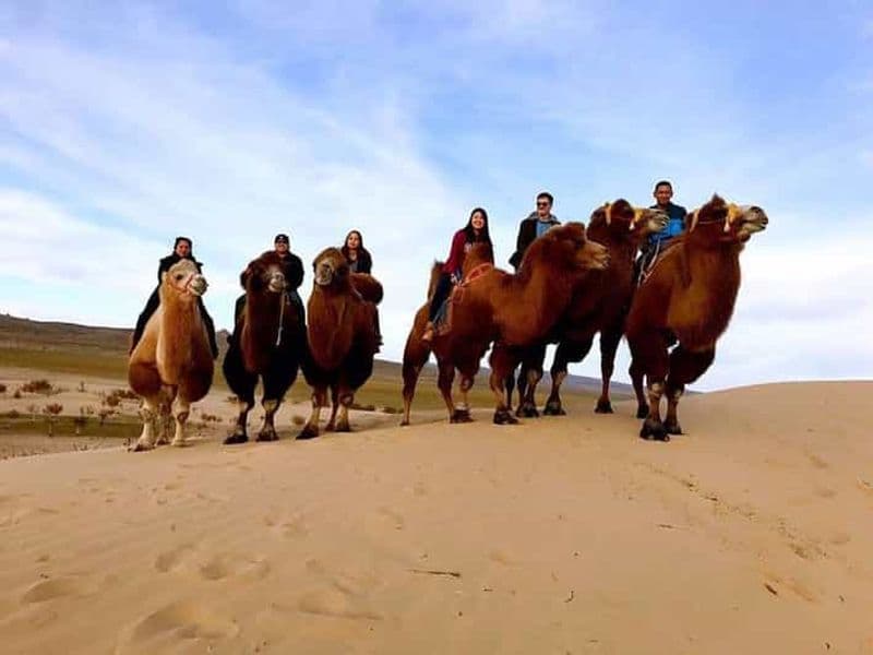 Billet Oulan-Bator : excursion dans le désert du Semi-Gobi et balade à dos de chameau