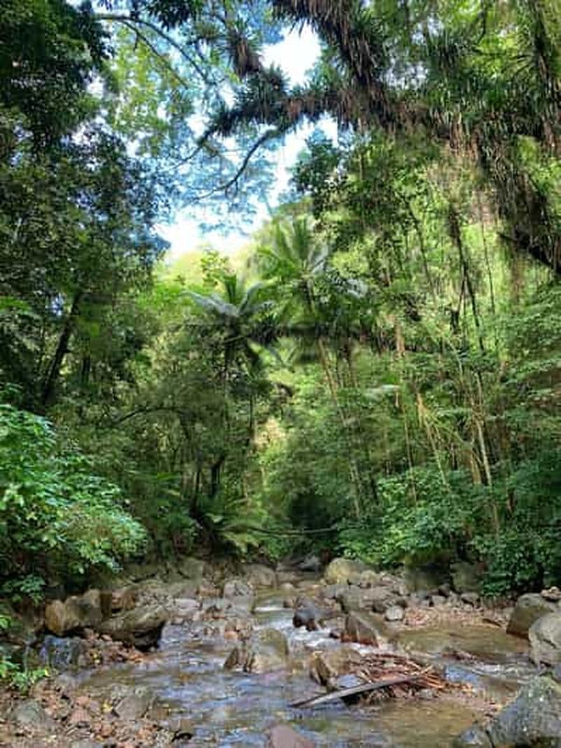 Billet Randonnée en plein air Martinique