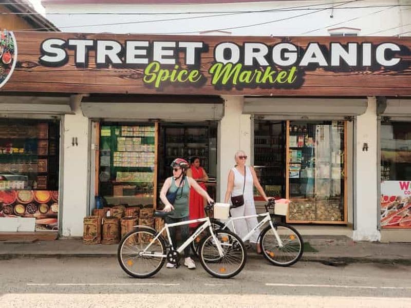 Visite à vélo « Bonjour Kochi »