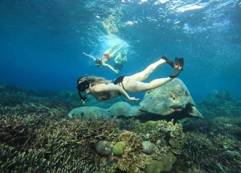 Billet Plongée en apnée à MANTA POINT avec les poissons Manta