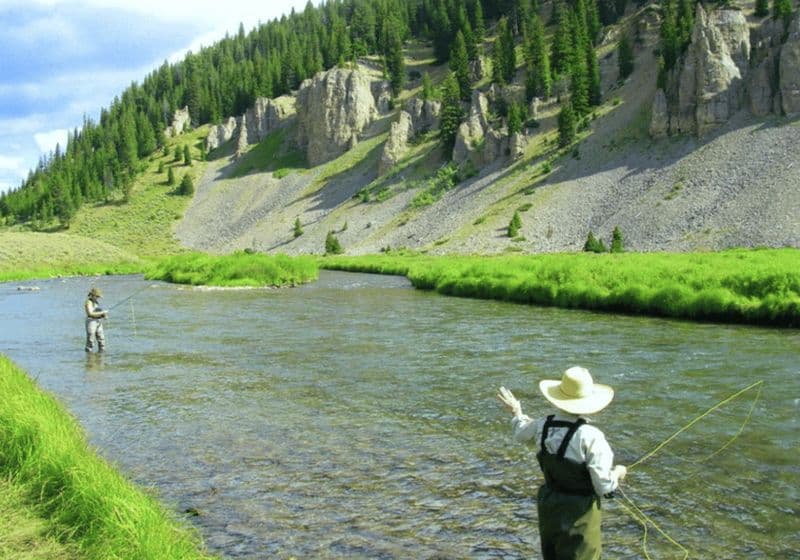 Billet Big Sky : Apprenez à pêcher à la mouche sur la rivière Gallatin (3 heures)