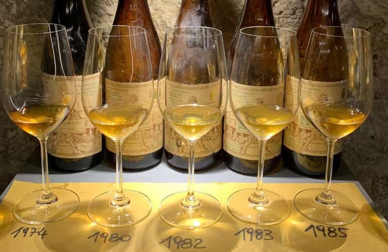 Dégustation de vins accompagnée de mets locaux à Pise, près de la tour