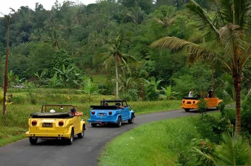 Borobudur : Safari privé dans la campagne en Volkswagen Thing