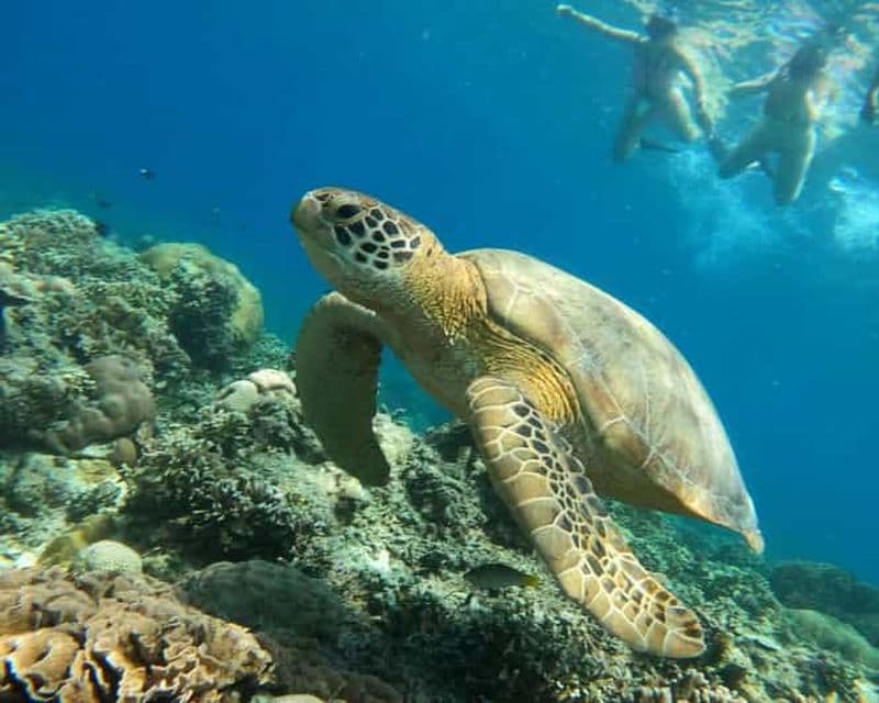 Gili Air : Excursion de Snorkeling Privée et Partagée + Prise de Vue avec une Caméra Gopro