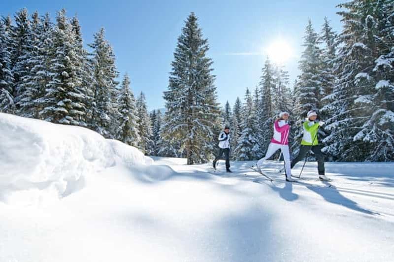 Cours de ski de fond pour débutants (Feldberg)