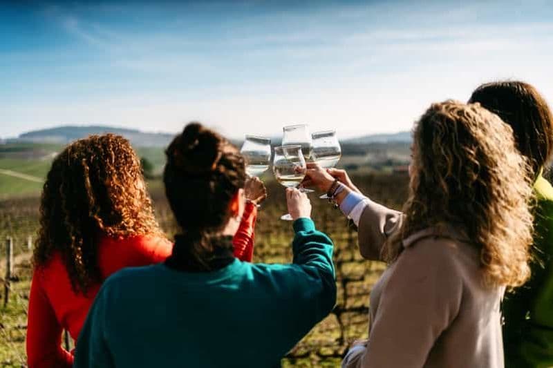 Billet Porto : visite de la vallée du Douro avec 2 vignobles, déjeuner et croisière