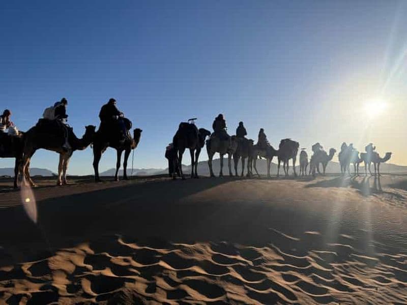 Billet Marrakech à Zagora : circuit de luxe de 2 jours dans le Sahara avec balade à dos de chameau