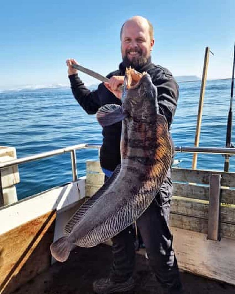 Billet Stykkishólmur : excursion de pêche en mer avec un guide de la région