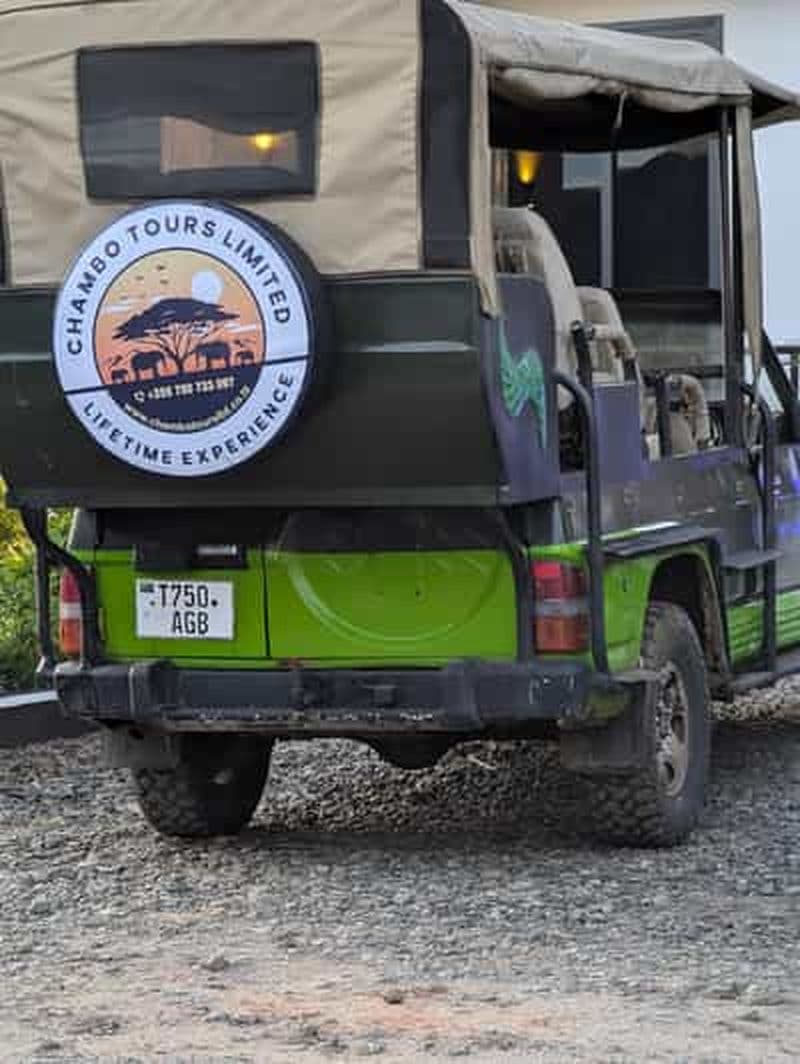 Billet Morogoro : safari de deux jours à Mikumi et dans les montagnes d'Udzungwa