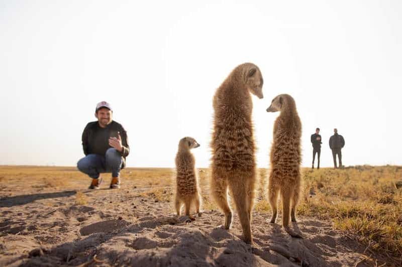Billet Depuis Maun : aventure safari de 3 jours dans les marais salants de Makgadikgadi