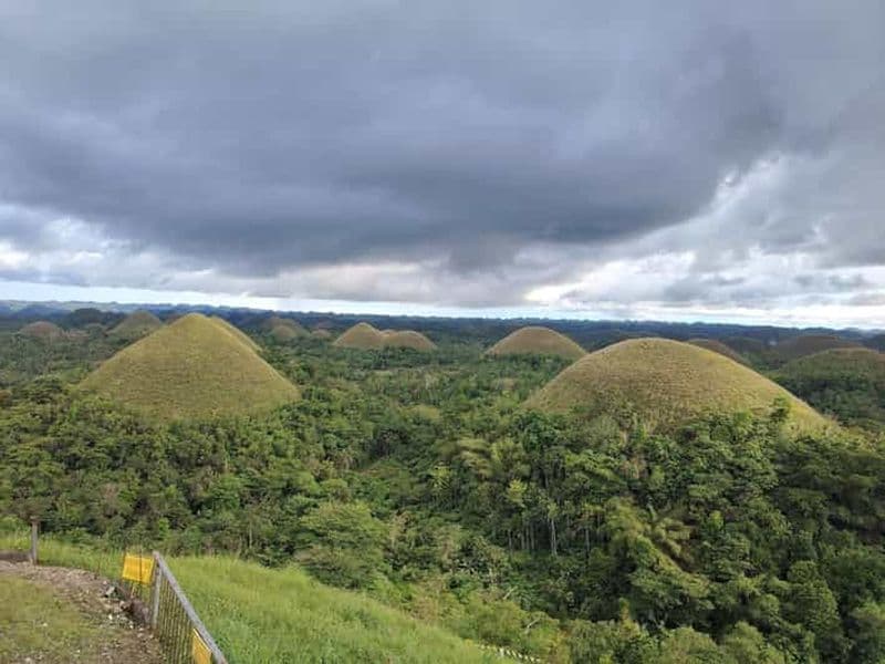 BOHOL : Excursion d'une journée aux collines de chocolat, aux tarsiers et à la rivière Loboc