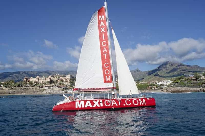 Billet Costa Adeje : croisière baleines et dauphins avec nourriture et prise en charge