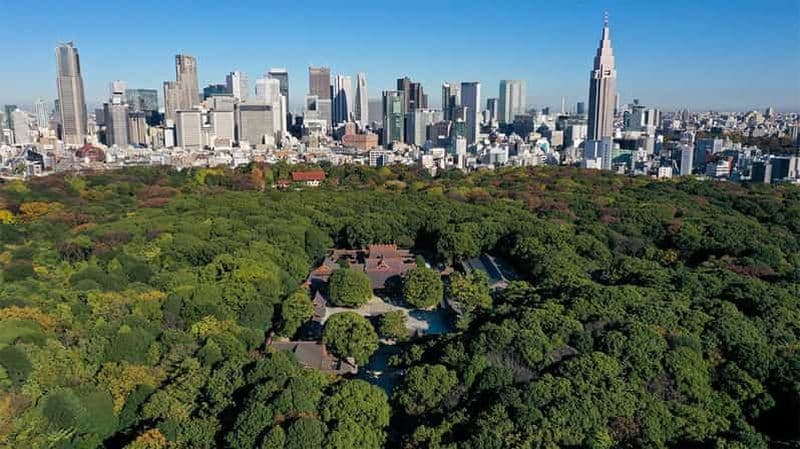 Billet Tokyo : visite à pied du sanctuaire Meiji — Shintoïsme et système impérial