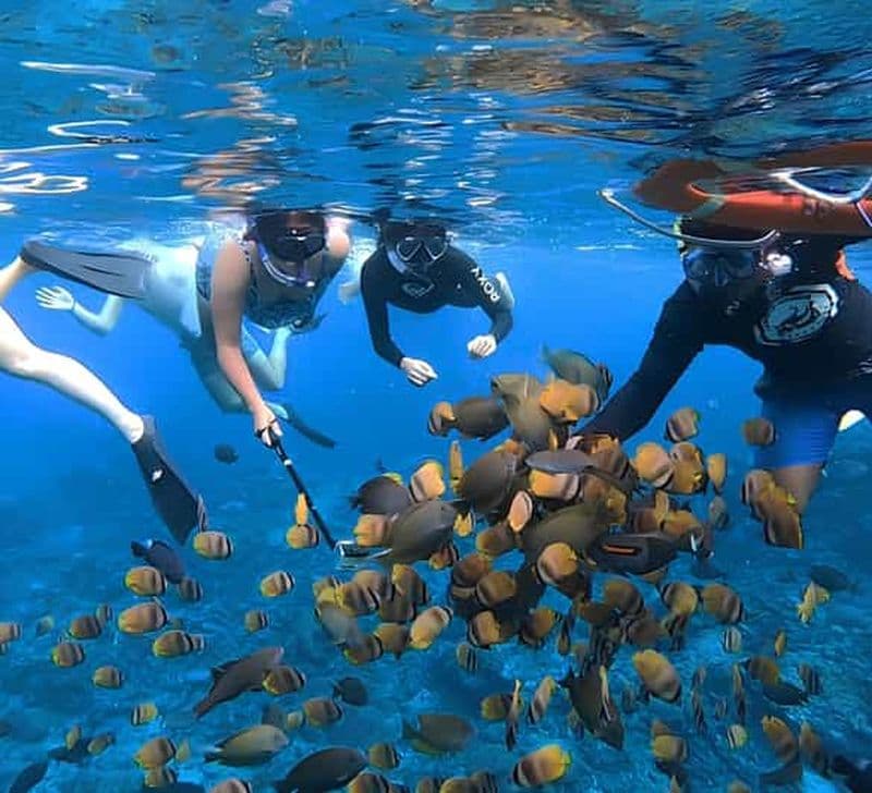 Billet Bali/Nusa Penida : Manta Point Snorkeling et visite de la côte ouest