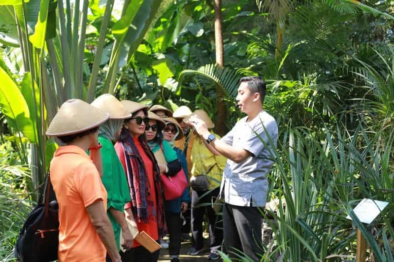 Yogyakarta/Magelang : visite d'un jardin de fibres et d'un atelier de tissage