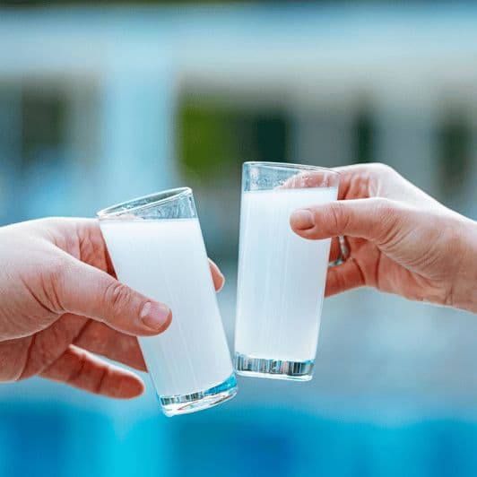 Billet Nauplie : Dégustation de spiritueux grecs