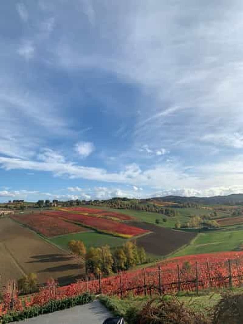 Billet Modène : Parmesan, vinaigre balsamique, visite des vignobles + déjeuner
