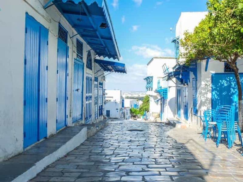 Billet Visite de la Médina, du Bardo, de Carthage et de Sidi Bou Saïd, avec déjeuner