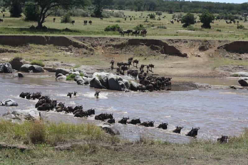 Billet SAFARI DE 5 JOURS DANS LA NATURE