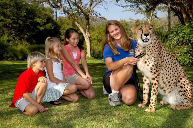 Billet 1 jour pour le San Diego Zoo Safari Park