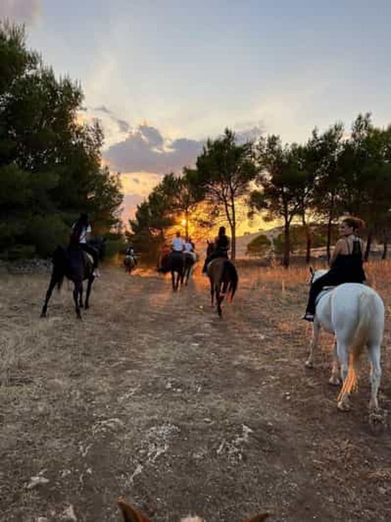 Matera : randonnée à cheval au coucher du soleil sur la Murgia