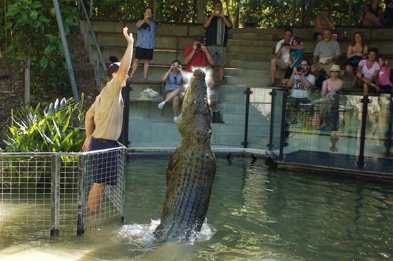 Kuranda et Hartley's Crocodile Adventures