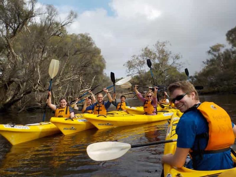 Visite d'une demi-journée en kayak sur la rivière Canning pour découvrir la vie sauvage