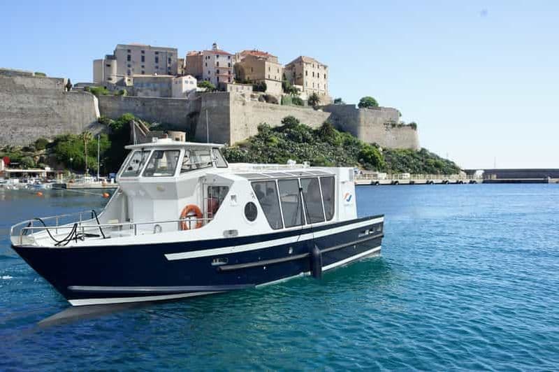 Calvi : visite guidée en bateau 48 places vers Scandola
