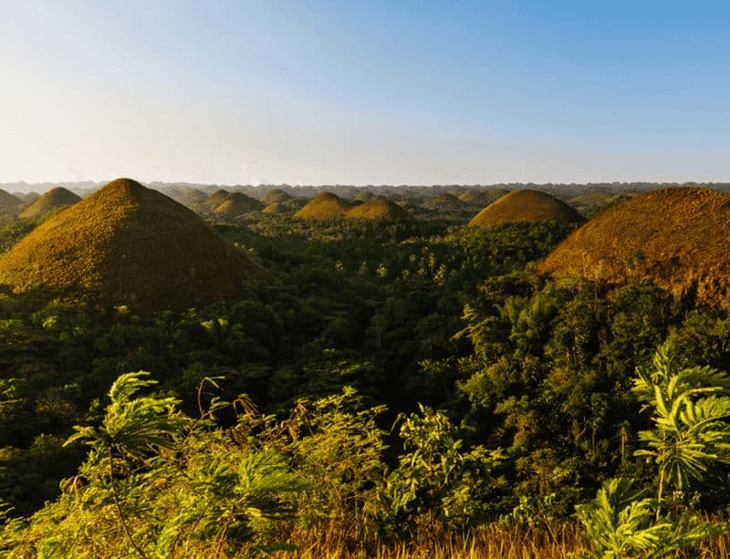 Bohol : Visite de la campagne avec les tarsiers et les collines de chocolat