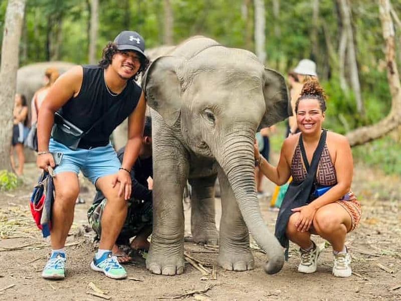Billet Chiang Mai : Visite du Doi Inthanon et du sanctuaire des éléphants