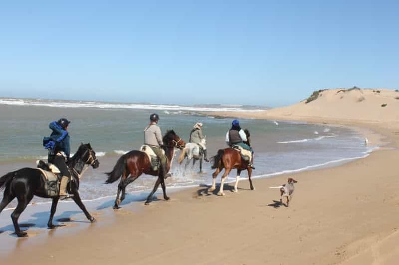 Au départ d'Essaouira : 1 heure de randonnée à cheval