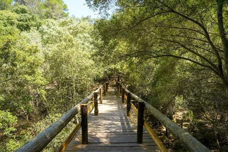 Billet Mallorca : billet d'entrée au parc Reserva avec nature et animaux