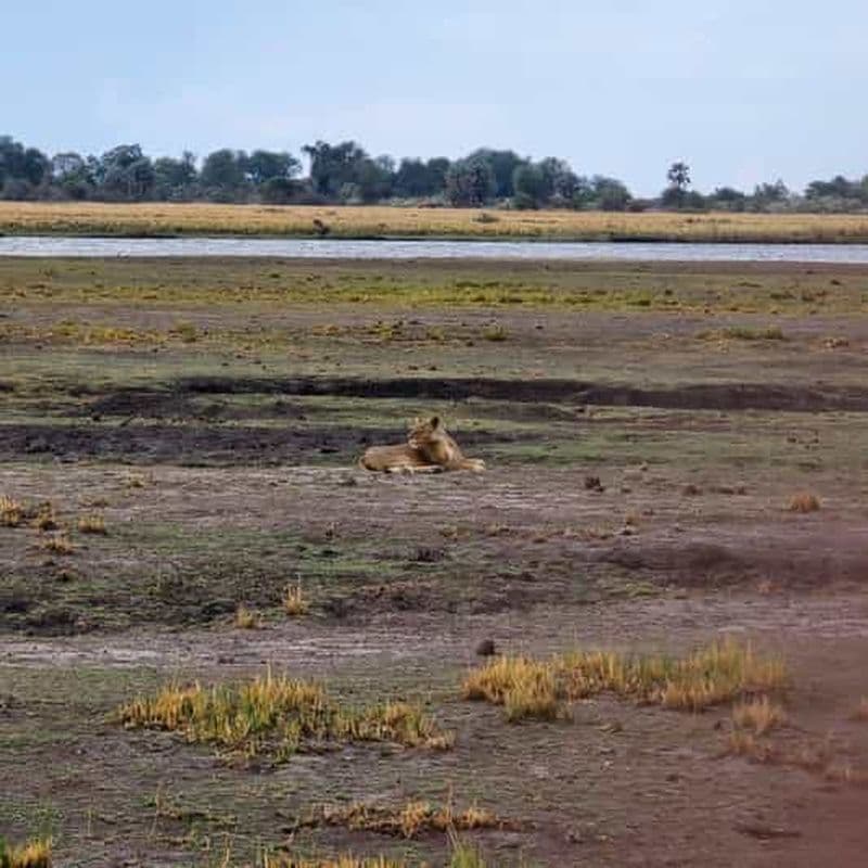Billet Croisière au coucher du soleil sur la rivière Chobe