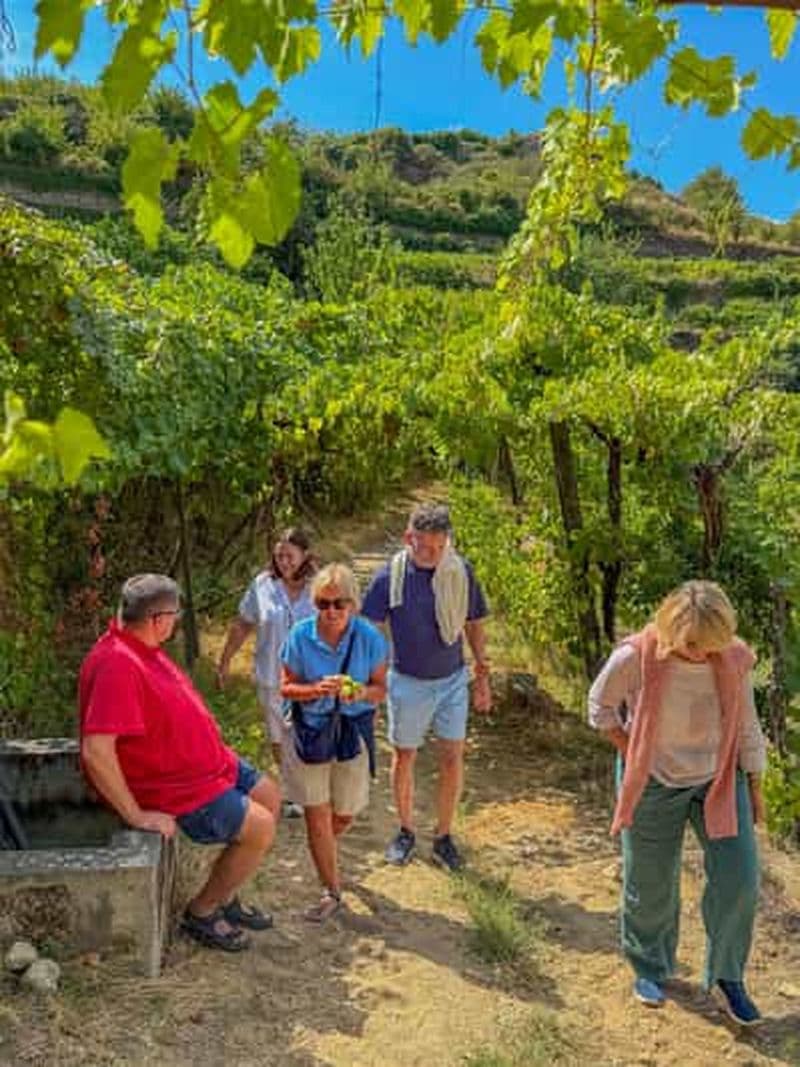 Billet Vallée du Douro : huile d'olive, vin, bateau et déjeuner