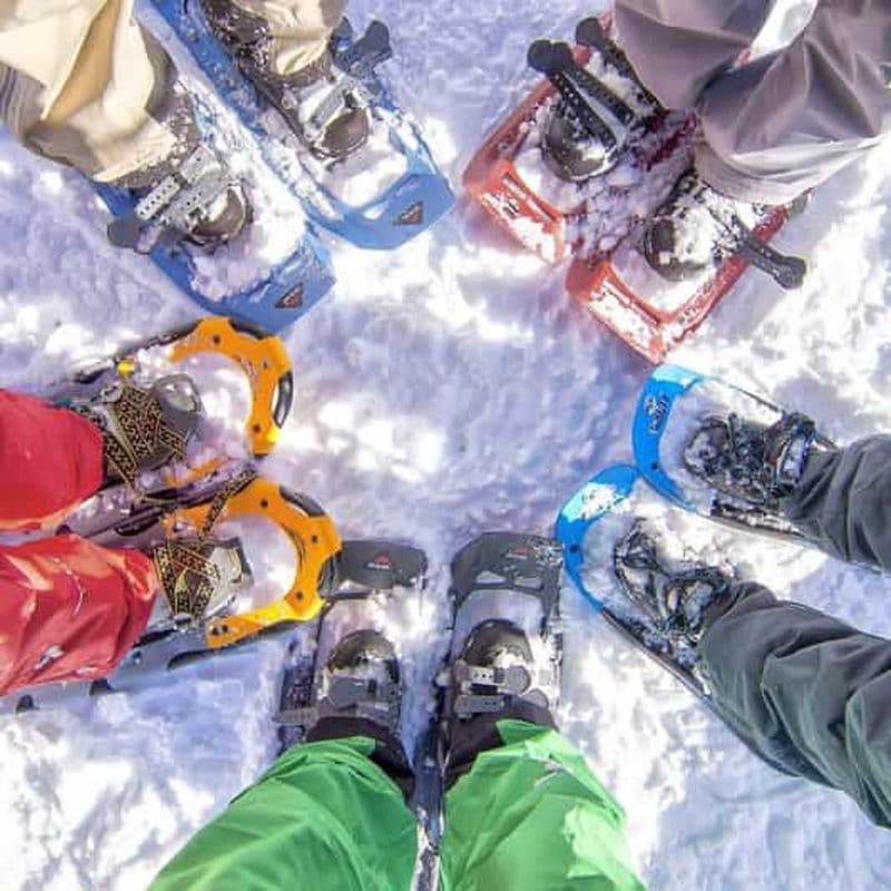 Billet Rovaniemi : Excursion en raquettes avec déjeuner sauvage et prise en charge à l'hôtel