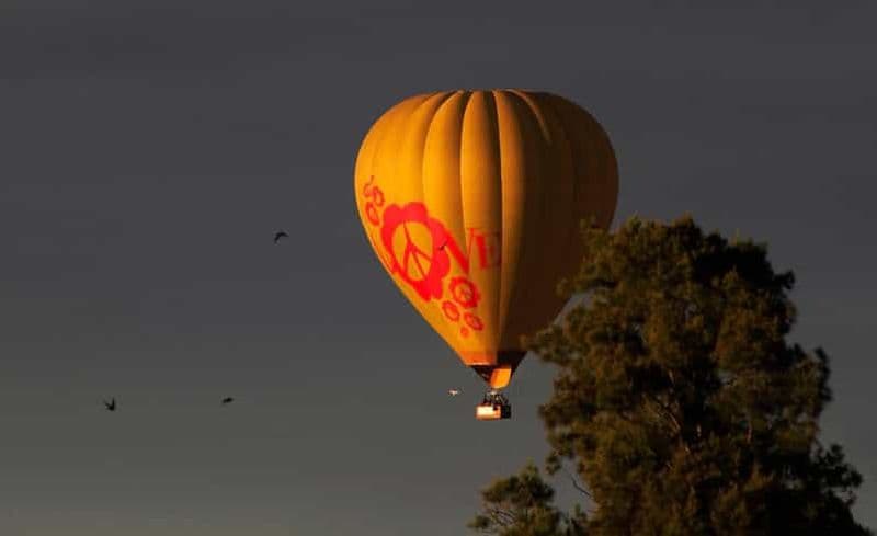 Billet Rovaniemi : vol en montgolfière avec champagne