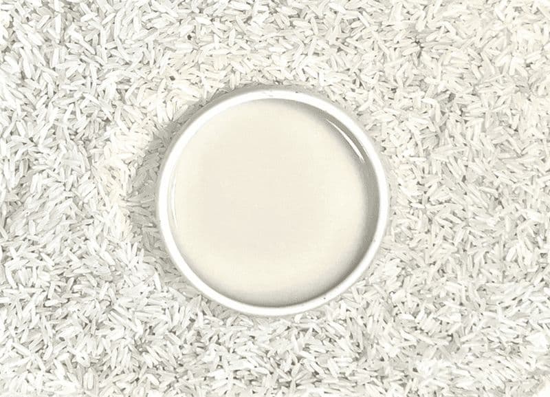 Dégustation de vin de riz avec un sommelier - Les meilleurs Makgeolli (et Soju)